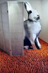 Installation N�TZE DIE ZEIT, im Art Forum Ute Barth, 2004